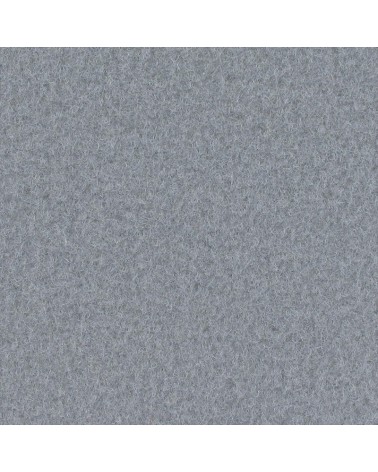 9505 - Light Grey - Pantone 430C