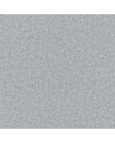 9525 - Mousy Grey - Pantone 429C