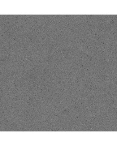 Dim Grey (2m)