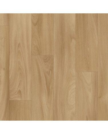Golden Oak (2m)