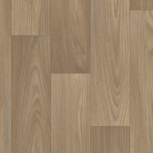 Harbour Oak (2m)