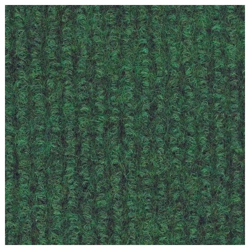 Kiwi 0031